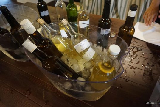 Fallo del III Concurso de Mostos del Marco de Jerez III Concurso del Mosto