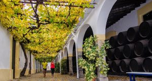 I Sherrymaratón I Sherrymaratón