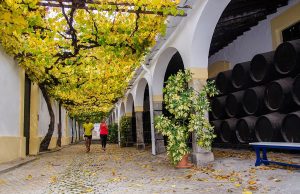 I Sherrymaratón I Sherrymaratón