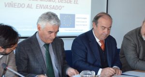 Bestbrandy Bestbrandy