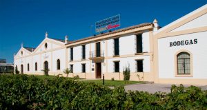 Seminario de Introducción a los Vinos de Bodegas Delgado Zuleta e Iniciación a la técnica de análisis sensorial Bodegas Delgado Zuleta