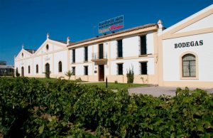 Seminario de Introducción a los Vinos de Bodegas Delgado Zuleta e Iniciación a la técnica de análisis sensorial Bodegas Delgado Zuleta