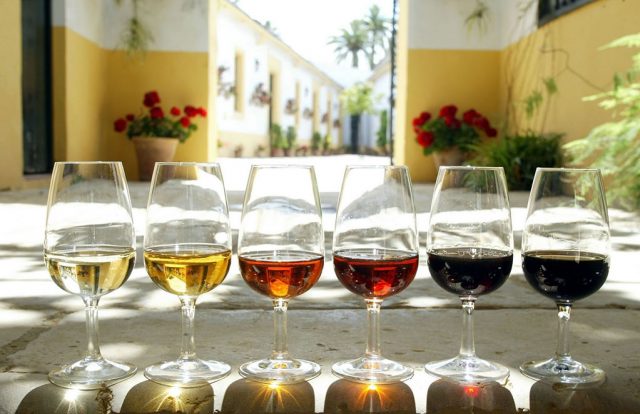 Gama de Vinos de Jerez