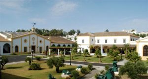 Seminario de Introducción a los Vinos de Bodegas Grupo Estévez e Iniciación a la técnica de análisis sensorial Bodegas Grupo Estévez