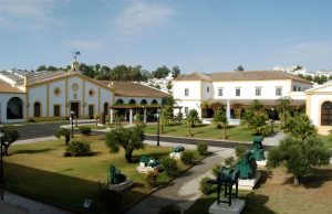 Seminario de Introducción a los Vinos de Bodegas Grupo Estévez e Iniciación a la técnica de análisis sensorial Bodegas Grupo Estévez