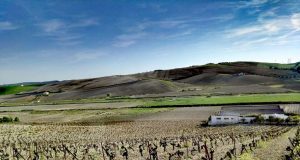 Arrancan los Maridajes por Primavera en Viña La Constancia Una Mesa del Jerez para el futuro