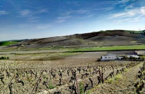 Una ‘Mesa del Jerez’ para el futuro Una Mesa del Jerez para el futuro