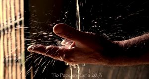 Tío Pepe en Rama 2017 #VIVOYSALVAJE