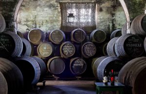 Seminario de Introducción a los Vinos de Osborne Catas en el Consejo Regulador Osborne