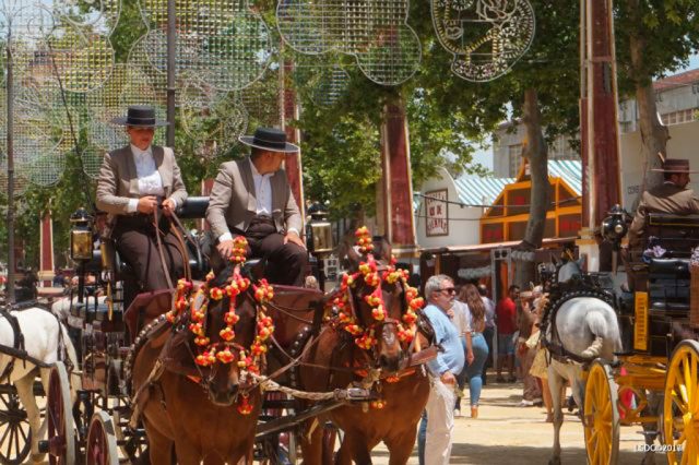 Lo Positivo y negativo de la Feria del Caballo 2017