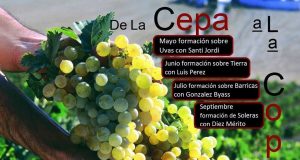 Ciclo “De la Cepa a la Copa” De la Cepa a la Copa