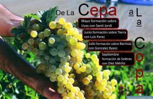 Ciclo “De la Cepa a la Copa” De la Cepa a la Copa