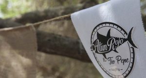 #TioPepeExperience, el encuentro del Atún Rojo, el Vino de Jerez y la naturaleza Tío Pepe Experience