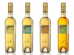 Colección Finos Palma Tío Pepe 2017 Finos Palmas Tío Pepe 2017