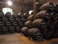 José Estévez, S.A., fue la primera bodega en lanzar un vino bajo en histamina Bodegas Estevéz