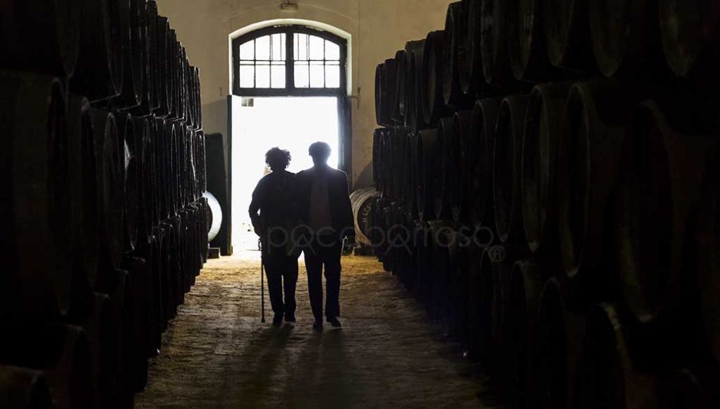 La Bodega por Paco Barroso