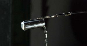 El Fino de Sanlúcar, más de un Decenio de Debate Fino de Sanlúcar