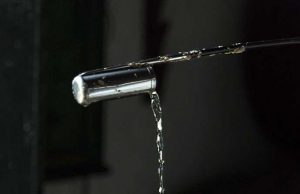 El Fino de Sanlúcar, más de un Decenio de Debate Fino de Sanlúcar