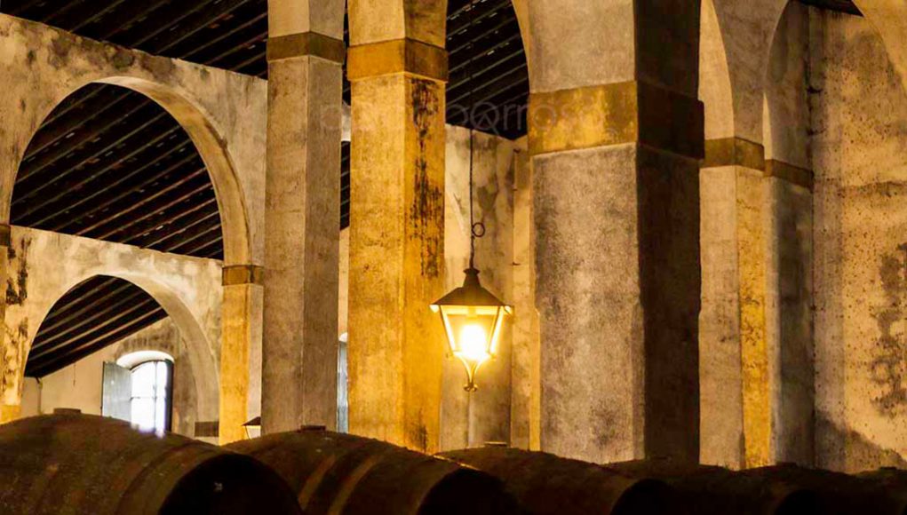 Bodegas Lustau por Paco Barroso