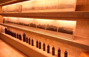 Finca constancia, entre los mejores vinos ecológicos del año Bodega Finca Constancia