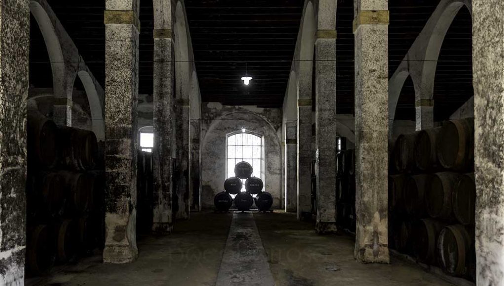 Bodegas Díez Mérito por Paco Barroso