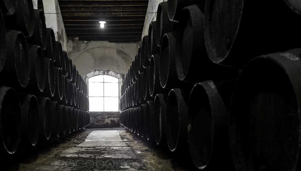 Bodegas Díez Mérito por Paco Barroso