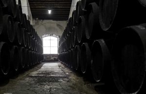 Bodegas Díez Mérito por Paco Barroso Bodegas Díez Mérito por Paco Barroso