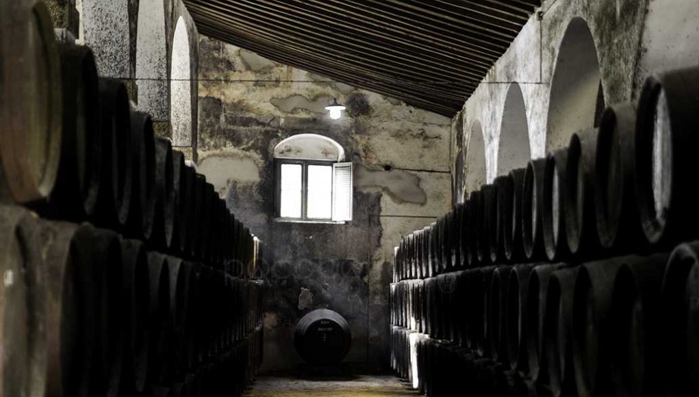 Bodegas Díez Mérito por Paco Barroso