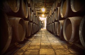 Mesa redonda: El Marco a Debate Bodegas Portales Pérez, Sanlúcar de Barrameda