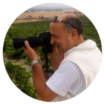 Fernando Tenorio Sánchez