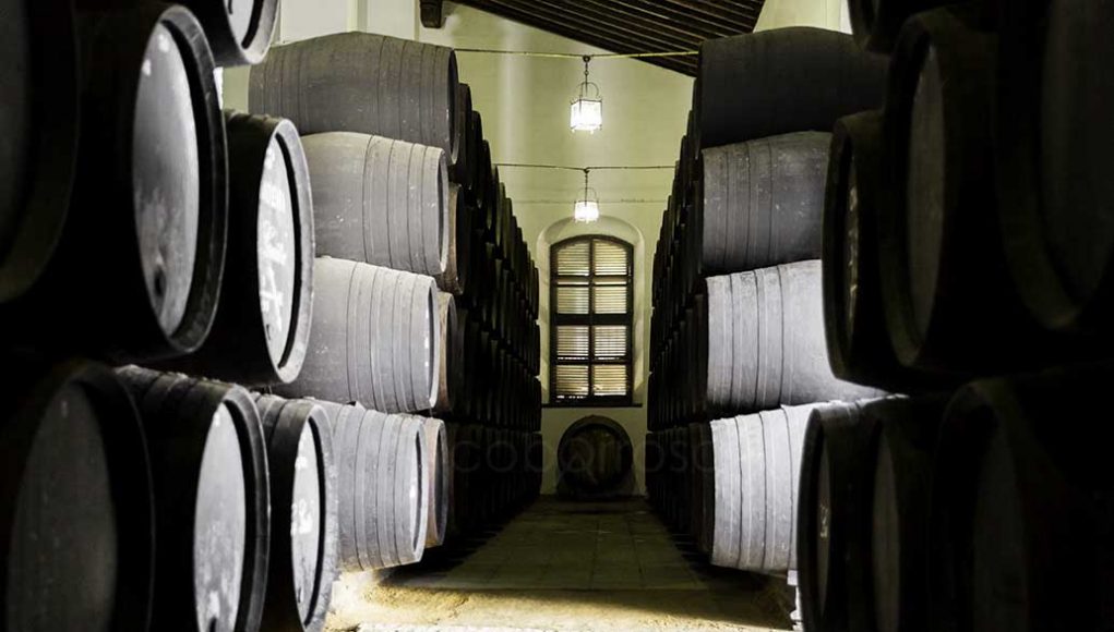 Bodega La Guita - Sanlúcar de Barrameda