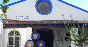 “La Manzanilla es Cultura”, Ciclo del Verano con San León Bodegas Argüeso