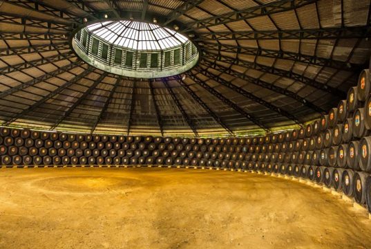 González Byass, la mejor bodega española de la década Bodega de La Concha, González Byass