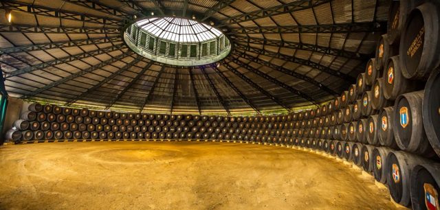 Bodega de La Concha, González Byass