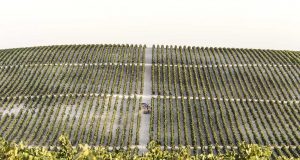 El Mito de Macharnudo