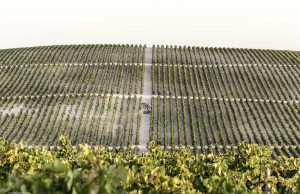 El Mito de Macharnudo