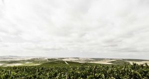 ‘Independientes’ y Cooperativistas Suman sus Fuerzas Vendimia Paco Barroso