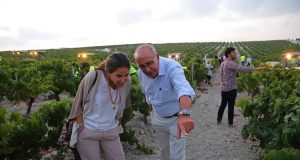 Es Tiempo de Vendimia Tiempo de Vendimia