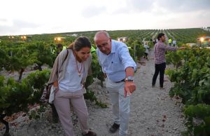 Es Tiempo de Vendimia Tiempo de Vendimia