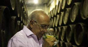 Saca 2019 de la colección Finos Palmas Antonio Flores