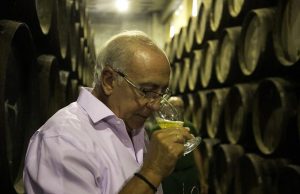 Saca 2019 de la colección Finos Palmas Antonio Flores