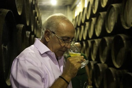 Saca 2019 de la colección Finos Palmas Antonio Flores