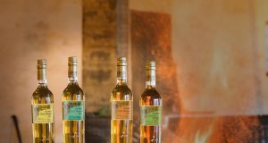 Colección Tío Pepe Finos Palmas Finos Palmas