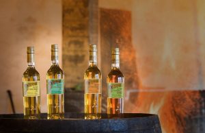 Colección Tío Pepe Finos Palmas Finos Palmas