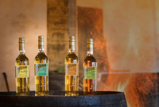 Colección Tío Pepe Finos Palmas Finos Palmas