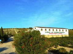 La Bodega Viña La Constancia No Se Vende. Viña La Constancia