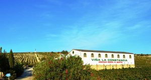 La Bodega Viña La Constancia No Se Vende. Viña La Constancia