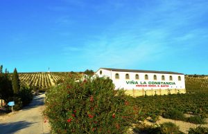 La Bodega Viña La Constancia No Se Vende. Viña La Constancia