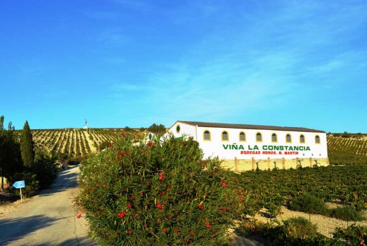 La Bodega Viña La Constancia No Se Vende. Viña La Constancia