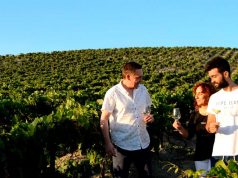 Viña La Constancia celebra su 50 aniversario con un amplio programa de experiencias enoturísticas Viña La Constancia